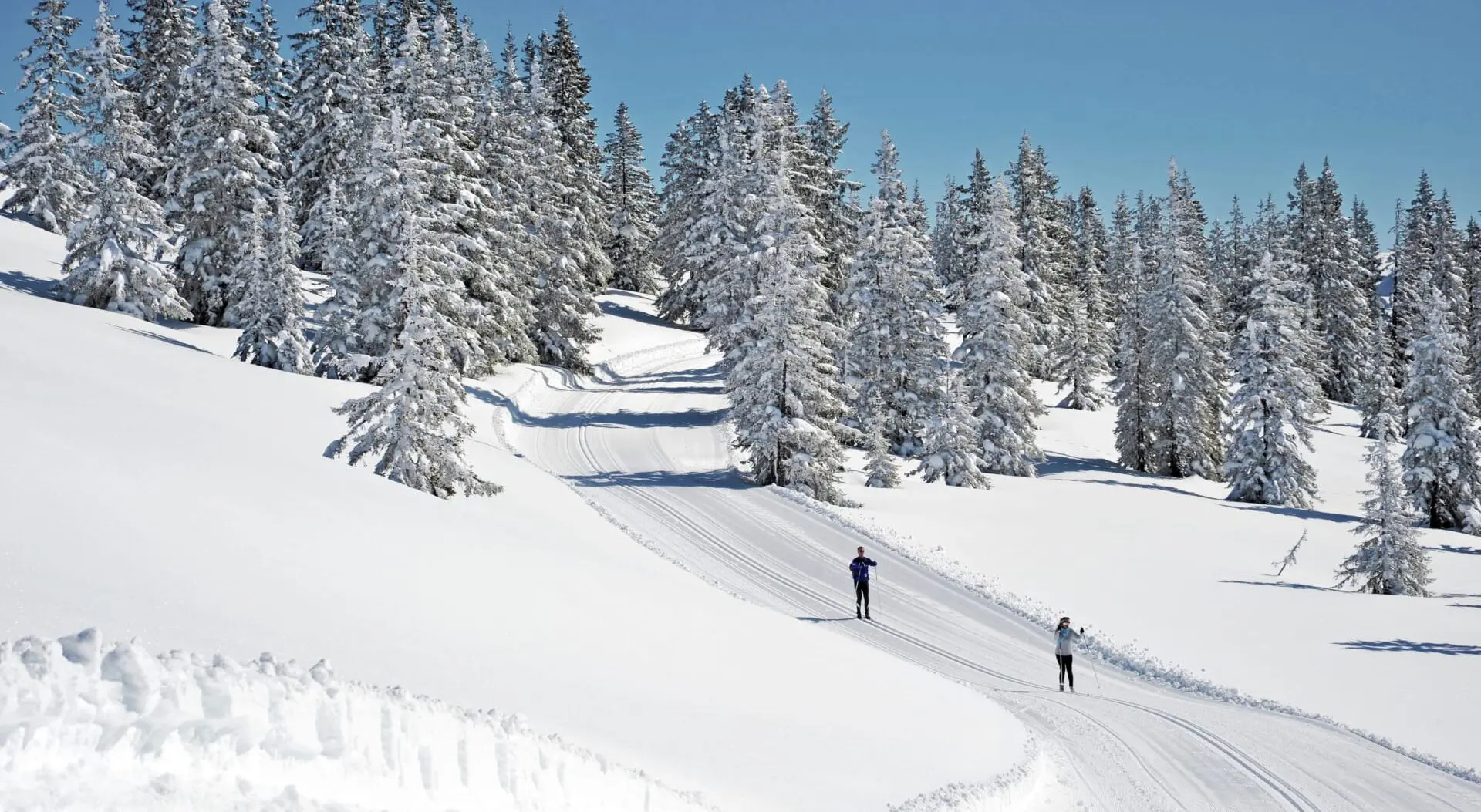Langlauf Tourismusverband Radstadt Christian Schartner 3 Jpg Bearbeitet 5