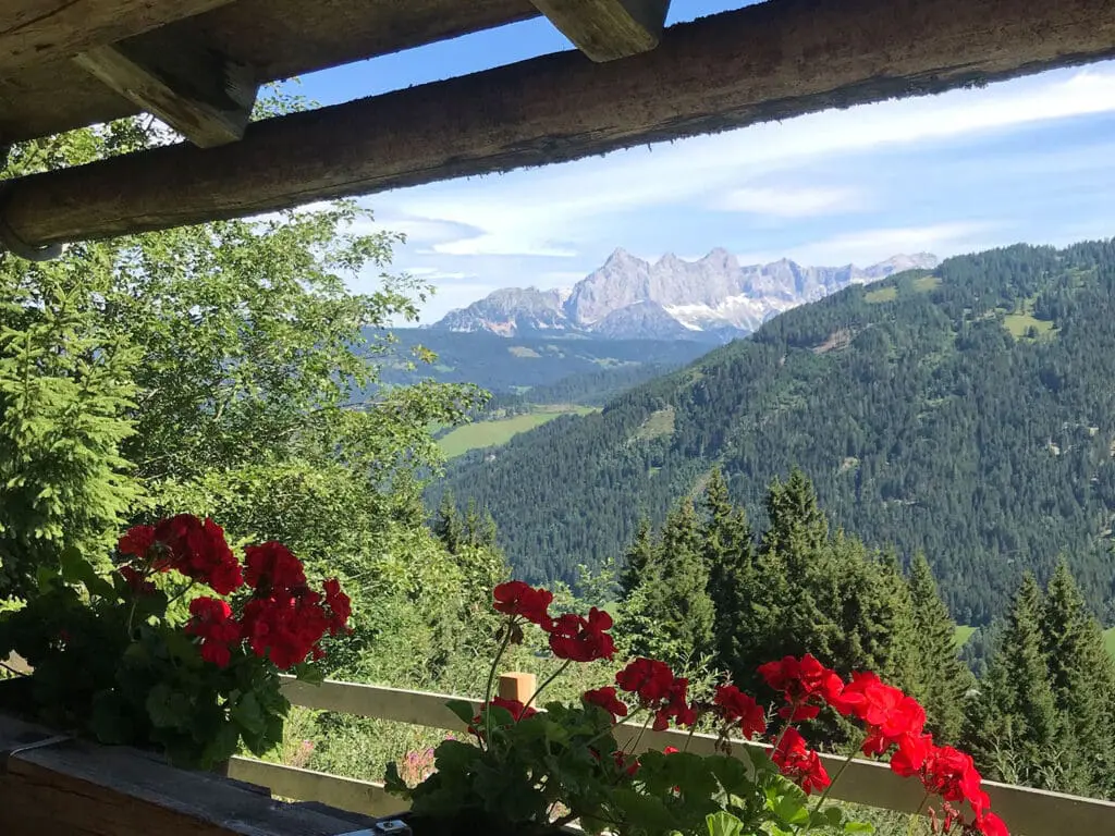 Hoteleigene Alm - Hotel Der Stieglerhof, Radstadt