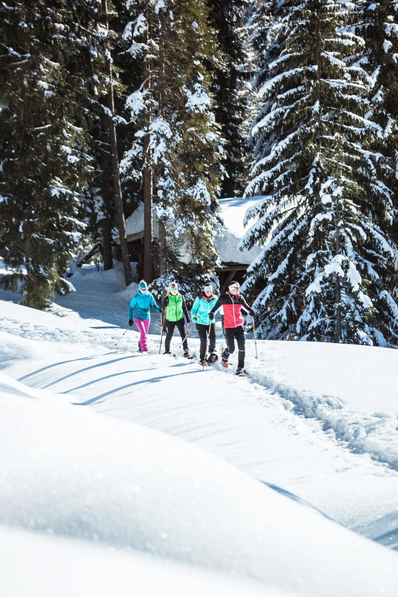 Schneeschuhwandern - Winter- & Skiurlaub in Radstadt, Salzburger Land