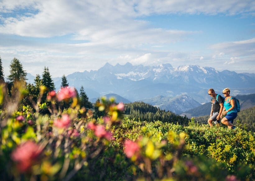 Wandern in Forstau - Tourismusverband Forstau
